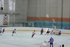 Областные соревнования юных хоккеистов на призы клуба «Золотая шайба» имени А.В.Тарасова - 1