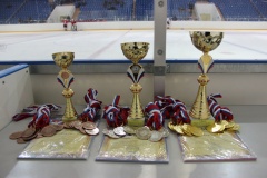 Областные соревнования юных хоккеистов на призы клуба «Золотая шайба» имени А.В.Тарасова - 2