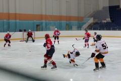 Областные соревнования юных хоккеистов на призы клуба «Золотая шайба» имени А.В.Тарасова - 8