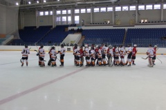 Областные соревнования юных хоккеистов на призы клуба «Золотая шайба» имени А.В.Тарасова - 10