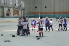 Областные соревнования юных хоккеистов на призы клуба «Золотая шайба» имени А.В.Тарасова - 12