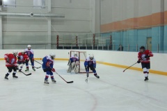 Cоревнования юных хоккеистов «Золотая шайба» имени А.В.Тарасов - 1