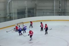 Cоревнования юных хоккеистов «Золотая шайба» имени А.В.Тарасов - 5