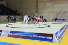 Чемпионат и первенство России по сумо - 6