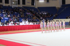 Чемпионат и первенство Центрального федерального округа по эстетической гимнастике - 6