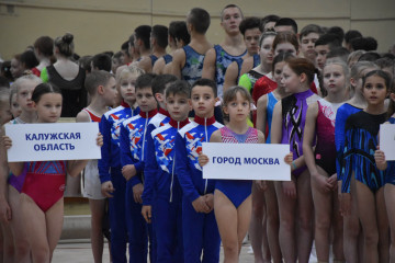 в спортивной школе по спортивной гимнастике города Смоленска стартовали традиционные соревнования "Олимпийские надежды" - фото - 3