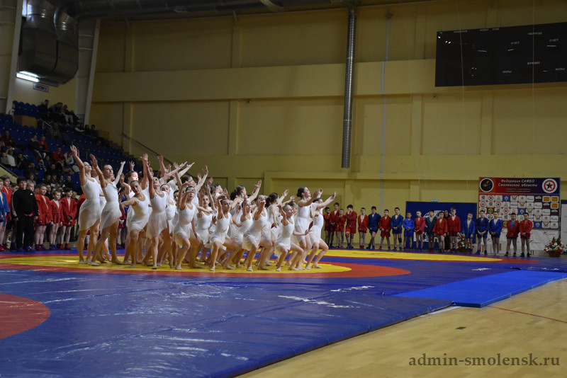 Спорт смоленской области